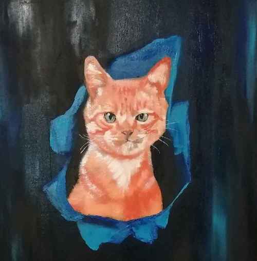 Кот по имени Рубль