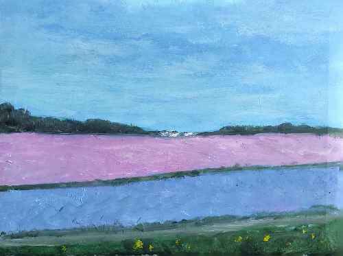 Гиацинты Кёкенхофа